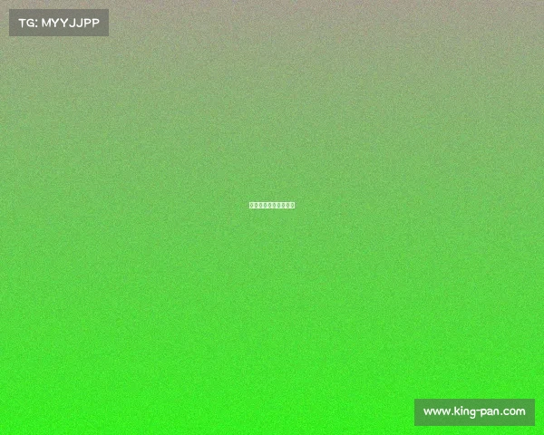 拉力赛赛事有几个赛区